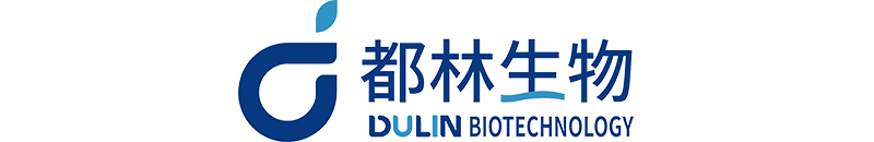 logo1212.jpg
